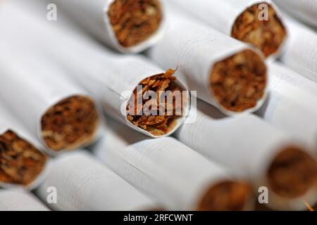 Beaucoup de cigarettes dans un fond coloré gros plan d'un rouleau de tabac en papier avec tube de filtre pas de fumer image de concept de plusieurs ciga de fabrication commerciale Banque D'Images