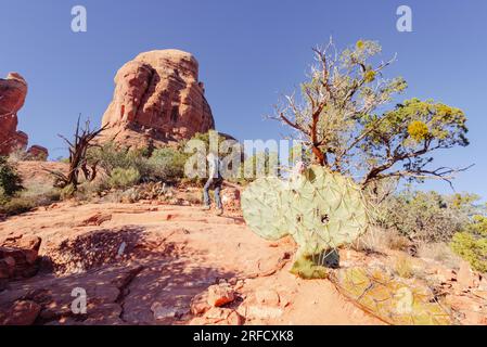 Une femme grimpe sur les rochers vers Cathedral Rock à Sedona Arizona aux Etats-Unis Banque D'Images