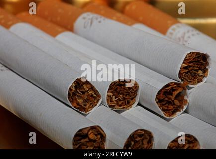 Beaucoup de cigarettes dans un fond coloré gros plan d'un rouleau de tabac en papier avec tube de filtre pas de fumer image de concept de plusieurs ciga de fabrication commerciale Banque D'Images