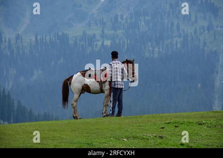 Gulmarg, Inde. 02 août 2023. Un homme avec son cheval attend les touristes à la station de Gulmarg Hill, à environ 55 km de Srinagar, la capitale estivale du Jammu-et-Cachemire. (Photo Saqib Majeed/SOPA Images/Sipa USA) crédit : SIPA USA/Alamy Live News Banque D'Images