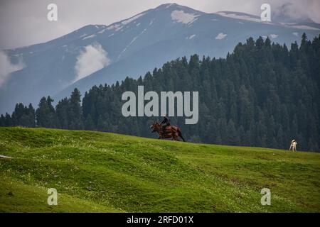 Gulmarg, Inde. 02 août 2023. Un homme monte à cheval à la station de Gulmarg Hill, à environ 55 km de Srinagar, la capitale estivale du Jammu-et-Cachemire. (Photo Saqib Majeed/SOPA Images/Sipa USA) crédit : SIPA USA/Alamy Live News Banque D'Images
