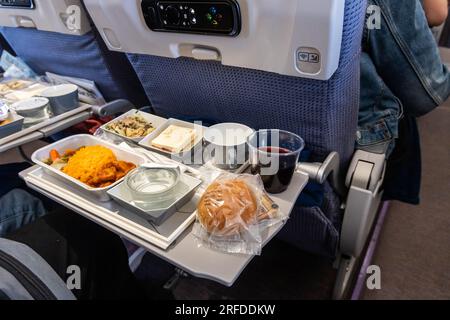 Repas asiatique servi en avion à bord composé de riz et de poulet épicé, hors-d'œuvre, dessert, pain et vin rouge Banque D'Images