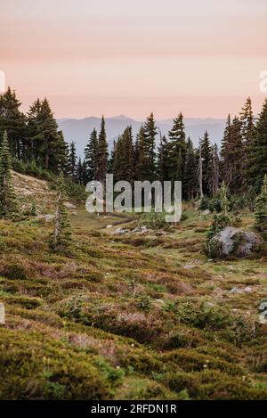Coucher de soleil au paradis, Mt. Parc national Rainier Banque D'Images