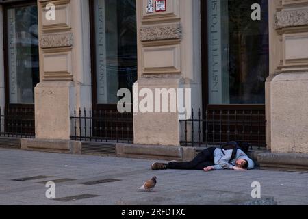 Un oiseau passe près d'un jeune homme dormant sur un sentier dans le centre-ville de Budapest, Hongrie. Banque D'Images