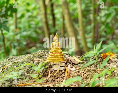 Image minuscule de Bouddha dans une forêt en Thaïlande. Il y a des pièces devant le Bouddha que les visiteurs ont laissées. Faible profondeur de champ avec le Bouddha imag Banque D'Images