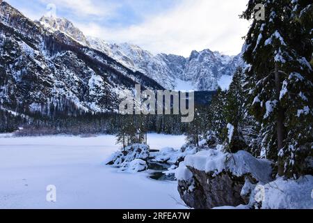 Forêt de conifères et une roche glaciaire erratique sur la rive du lac lago di fusine superiore près de Tarvisio dans la région Friuli-Venezia Giulia en Italie et Kot Banque D'Images