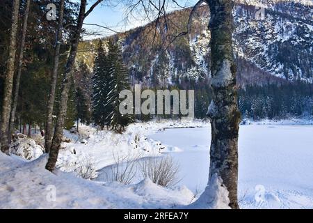 Rive du lac gelé lago di fusine superiore près de Tarvisio dans la région Frioul-Vénétie Julienne en Italie et colline couverte de forêt Banque D'Images