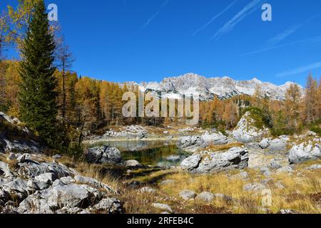 Vue du lac Double dans la vallée des lacs Triglav dans les alpes juliennes, Gorenjska, Slovénie avec la forêt de mélèzes aux couleurs d'automne Banque D'Images