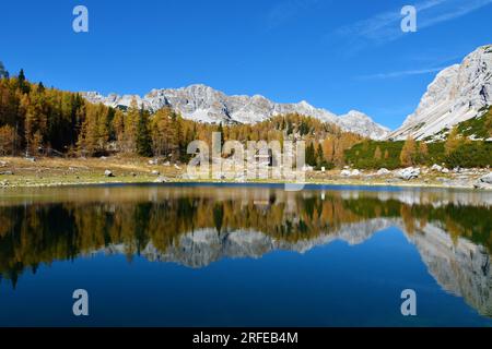 Vue sur le lac Double à Triglav lacs vallée avec Veliko Spičje montagne derrière et un reflet des montagnes et le mélèze doré autu Banque D'Images