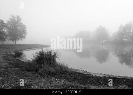 Germeringer Voir près de Germering en haute-Bavière. Paysage au lac dans le brouillard. Photo en noir et blanc. Matin brumeux dans la nature. Banque D'Images