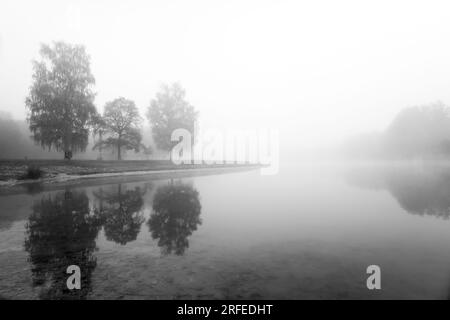 Germeringer Voir près de Germering en haute-Bavière. Paysage au lac dans le brouillard. Photo en noir et blanc. Matin brumeux dans la nature. Banque D'Images