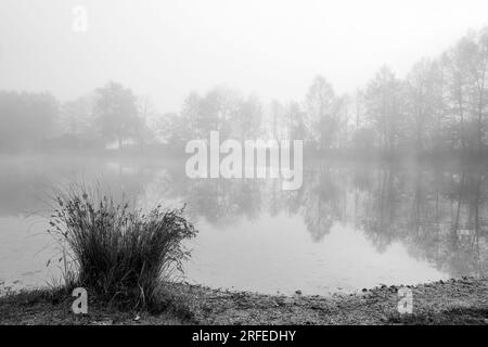 Germeringer Voir près de Germering en haute-Bavière. Paysage au lac dans le brouillard. Photo en noir et blanc. Matin brumeux dans la nature. Banque D'Images