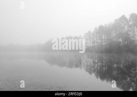 Germeringer Voir près de Germering en haute-Bavière. Paysage au lac dans le brouillard. Photo en noir et blanc. Matin brumeux dans la nature. Banque D'Images