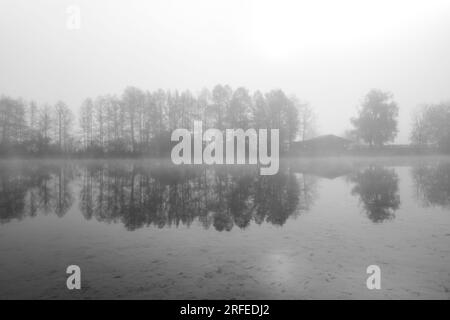 Germeringer Voir près de Germering en haute-Bavière. Paysage au lac dans le brouillard. Photo en noir et blanc. Matin brumeux dans la nature. Banque D'Images