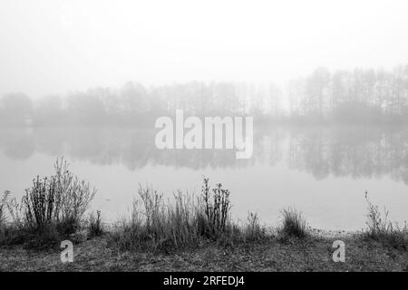 Germeringer Voir près de Germering en haute-Bavière. Paysage au lac dans le brouillard. Photo en noir et blanc. Matin brumeux dans la nature. Banque D'Images