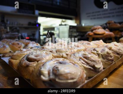 Un plateau de petits pains à la cannelle, glacés et prêts à la vente. Banque D'Images