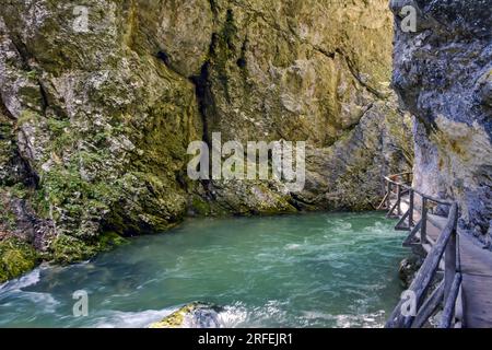 Promenade au-dessus de la rivière dans la gorge de Vintgar, Slovénie Banque D'Images