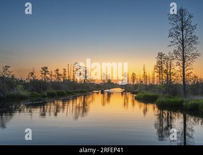 Réflexion au lever du soleil sur le canal Suwannee, dans le refuge national de faune d'Okefenokee, Géorgie. Banque D'Images