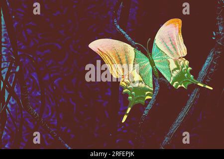 Papillon rouge orange vert sur fond de plante mystique bleu nuit Banque D'Images