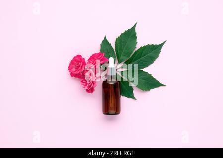 Une bouteille en verre avec compte-gouttes. Huile aromatique ou sérum visage sur fond de papier rose et petite brindille avec des fleurs de roses près. Cosmétique de spa biologique naturel Banque D'Images