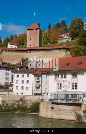 Suisse, canton de Fribourg, Fribourg, les fortifications sur les rives de la Sarine Banque D'Images