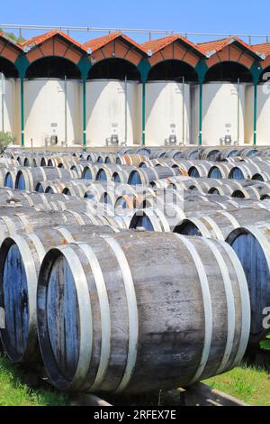 France, Hérault, Marseillan, Noilly Prat (vermouth français élaboré avec du vin blanc macéré aux herbes et épices depuis 1813), vieillissement des vins blancs secs en plein air pendant un an à l'enclos Banque D'Images