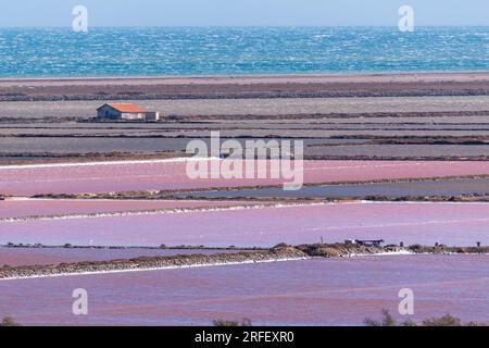 France, Aude, Parc naturel régional de la Narbonnaise en Méditerranée, Gruissan, poêle à sel de Gruissan Banque D'Images