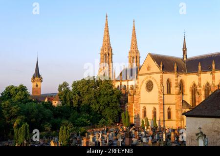 France, Bas Rhin, Obernai, église Saint Pierre et Paul et tour de chapelle Banque D'Images