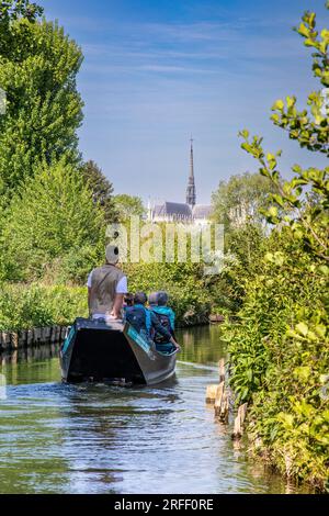 France, somme, Vallée de la somme, Amiens, balade en bateau dans les hortillonnages d'Amiens, ensemble de jardins flottants sur un dédale de 65 km de canaux, au coeur de la ville d'Amiens, cathédrale notre Dame d'Amiens classée au patrimoine mondial de l'UNESCO en arrière-plan Banque D'Images