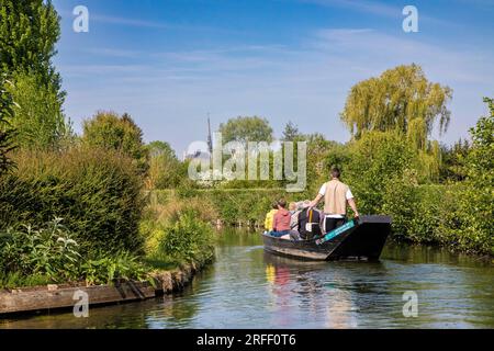 France, somme, Vallée de la somme, Amiens, balade en bateau dans les hortillonnages d'Amiens, ensemble de jardins flottants sur un dédale de 65 km de canaux, au coeur de la ville d'Amiens, cathédrale notre Dame d'Amiens classée au patrimoine mondial de l'UNESCO en arrière-plan Banque D'Images