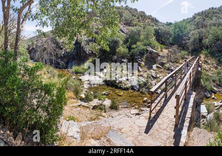 Espagne, Estrémadure, Villareal de San Carlos, Parc naturel de Monfrague, randonnée pédestre dans le parc Banque D'Images