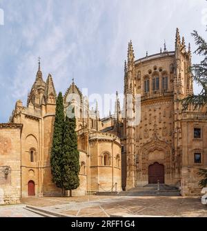 Espagne, Castille-et-Léon, Salamanque, Vieille ville de Salamanque classée au patrimoine mondial de l'UNESCO, les cathédrales Banque D'Images