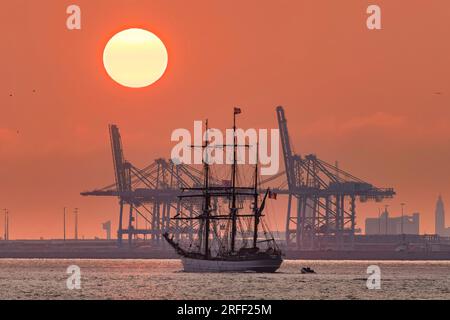 France, Calvados, Honfleur, Armada 2023, Grand Parade, La barque à trois mâts le Français, anciennement le Kaskelot, quitte la baie de Seine au soleil couchant, le port du Havre en arrière-plan, silhouette de la tour de contrôle portuaire à gauche et silhouette du clocher de l'église Saint-Joseph à droite Banque D'Images