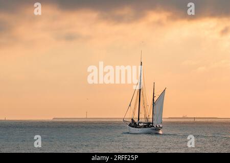 France, Calvados, Honfleur, Armada 2023, Grand Parade, Le bateau de pêche Dundee Etoile Molène quitte la baie de Seine au soleil couchant, le port du Havre en arrière-plan Banque D'Images