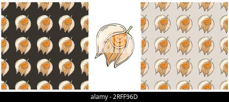 Modèle sans couture avec des fruits tropicaux. Couleur définie dans le style de dessin à la main. Physalis. Peut être utilisé pour le tissu Illustration de Vecteur