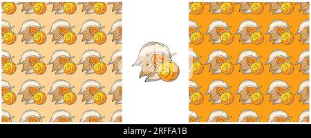 Modèle sans couture avec des fruits tropicaux. Physalis. Définir dans le style de dessin à la main. Emballage de couleur, emballage et etc Illustration de Vecteur