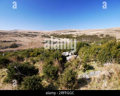 Vue sur la vallée de l'East Dart depuis Hartland Tor, Postbridge, Dartmoor. Banque D'Images