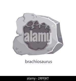 Fossiles d'empreintes de dinosaures Brachiosaurus, archéologie et paléontologie. Vecteur isolé dino animal patte imprimé dans la pierre. Ancien trai du pied de reptile Illustration de Vecteur