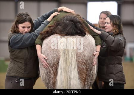 Rupert Isaacson, qui utilise des « thérapies hippiques » pour aider à traiter les enfants autistes. Photographié au Conquest Equestrian Centre près de Taunton où il enseigne Banque D'Images