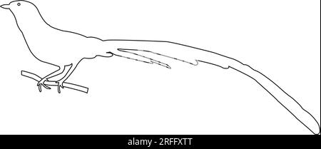 conception d'illustration vectorielle d'icône d'oiseau magpie Illustration de Vecteur