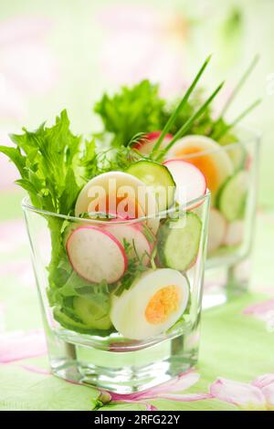 salade de printemps avec concombre, radis et œuf Banque D'Images