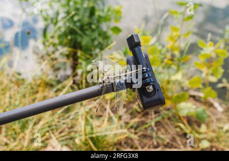 Dragonfly se trouve sur la caméra d'action trépied dans la nature. Caméra embarquée pour prise de vue nature. Banque D'Images