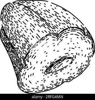 vecteur dessiné à la main de croquis sain chayote frais Illustration de Vecteur