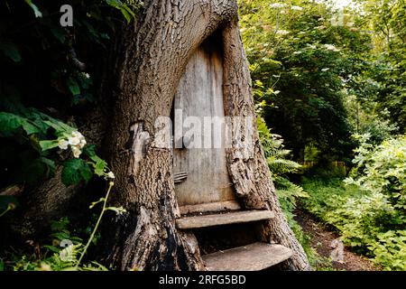 Portes de fées sculptées dans le bois dans le tronc des arbres dans Northumberland Park, North Shields et Tynemouth, North Tyneside, Angleterre Banque D'Images