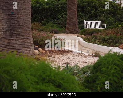 Banc blanc en bois vide sous un palmier dans un petit parc d'hôtel à Ayia Napa, Chypre. Un endroit tranquille solitaire pour se reposer. Banque D'Images