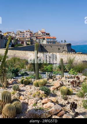 Antibes, France : vue sur le vieux Antibes avec un jardin de cactus et la mer Méditerranée. Banque D'Images