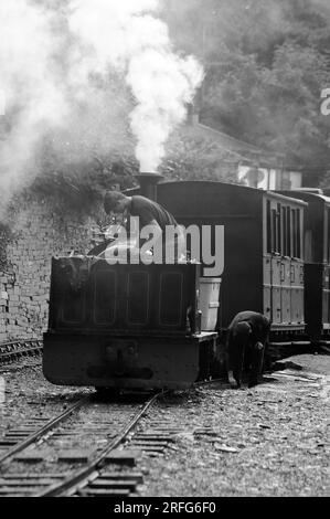 "Hugh Napier" shunting à felin Fawr. Banque D'Images