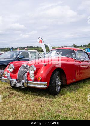 Voiture de sport Jaguar XK150 classique des années 1950 Banque D'Images