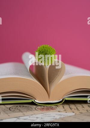 Fleur santini verte posée sur le livre ouvert avec des pages de livre en forme de coeur sur un fond rose, scène de livre romantique Banque D'Images