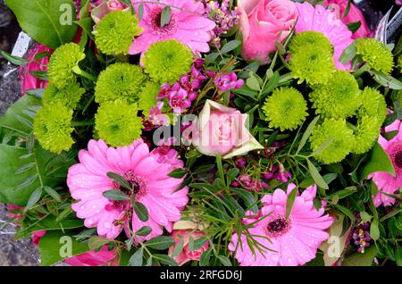 Incroyable arrangement floral multicolore dans un jardin d'été. Détail bouquet - arrangement de fleurs. Banque D'Images